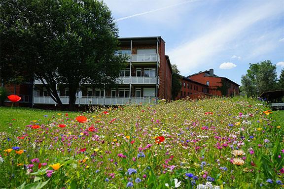 klinik-windach-blühender-garten