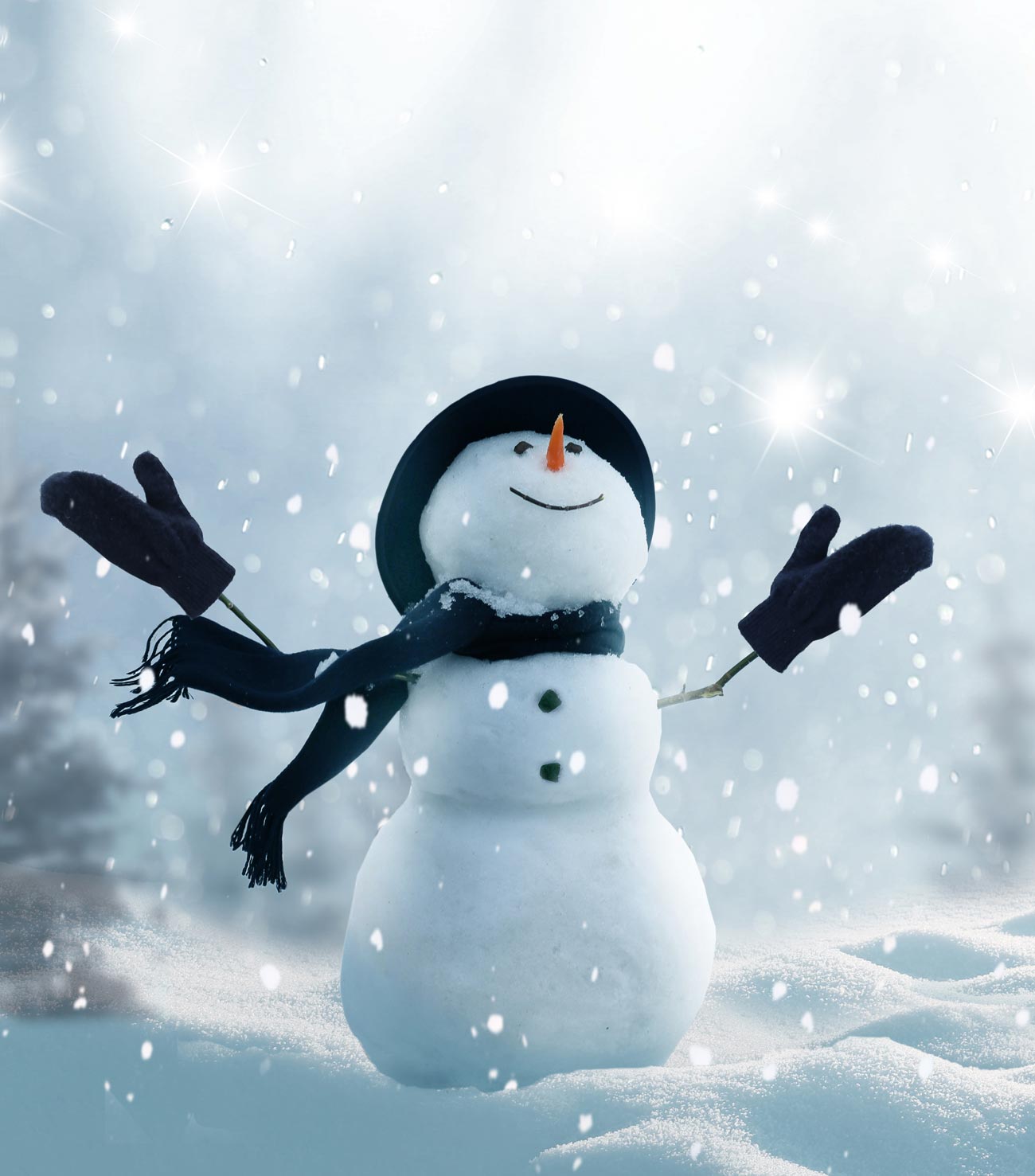 winterdepression-vorbeugen-froehlicher-schneemann